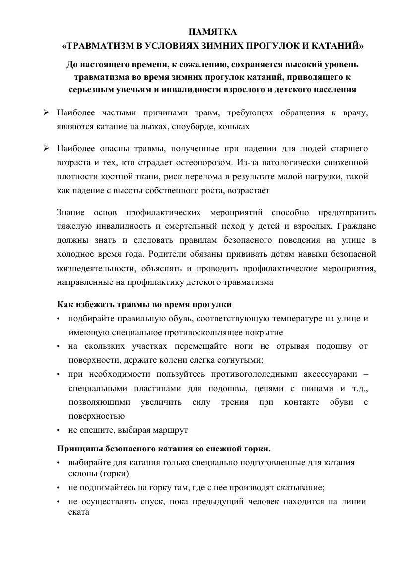 Памятка «Травматизм в условиях зимних прогулок и катаний» — обложка
